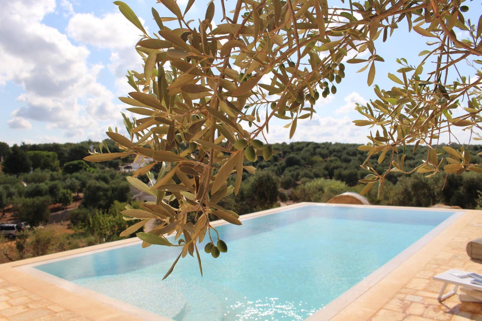 Bed and Breakfast Feudi Mandolivo à Ostuni Extérieur photo